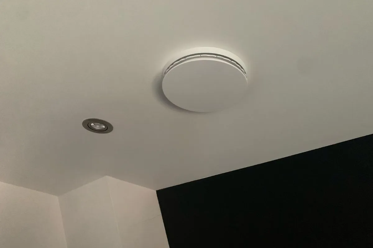 Klik om afbeelding te vergroten